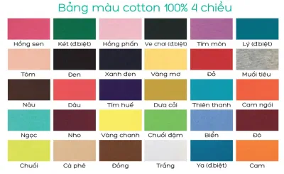 Bảng màu của Review PRINTSTYLE Hồ Chí Minh (Ảnh BlogAnChoi)