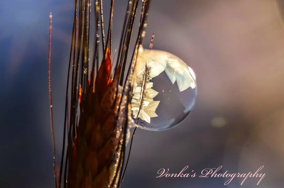 Vẻ đẹp không thể tả bằng lời. (Ảnh: Internet) Vẻ đẹp không thể tả bằng lời. (Ảnh: Internet)