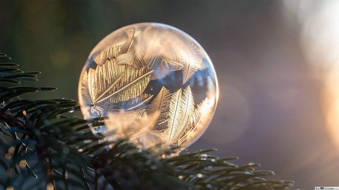 Bong bóng tuyết đẹp đến mê hoặc. (Ảnh: Internet) Bong bóng tuyết đẹp đến mê hoặc. (Ảnh: Internet)