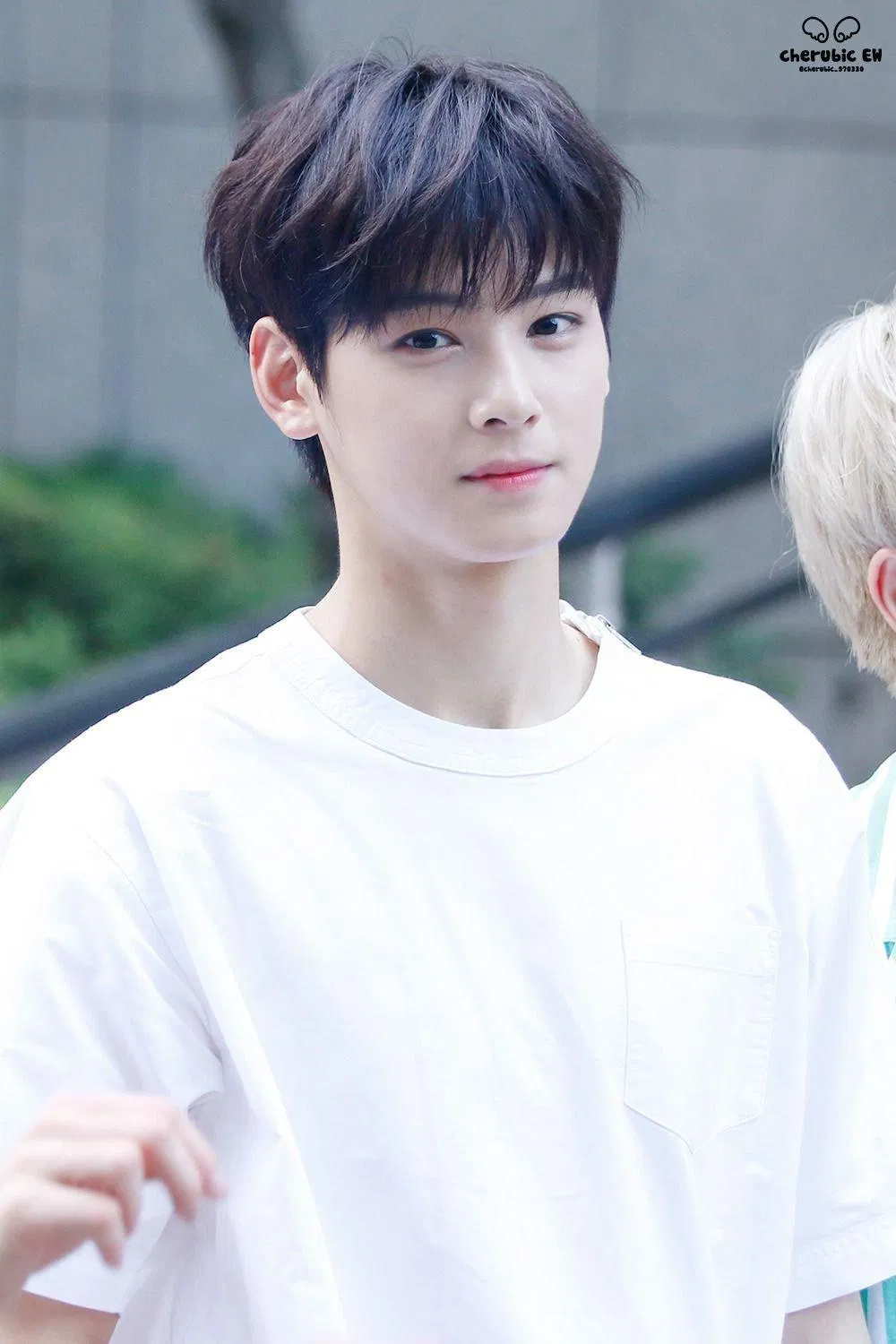Ảnh fansite huyền thoại của Cha Eunwoo (Ảnh: Twitter)