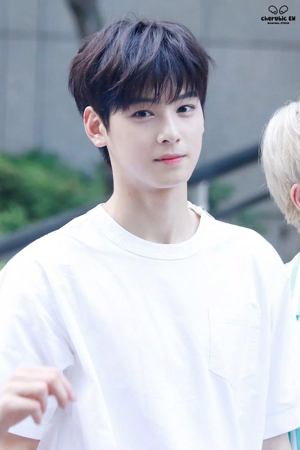 Cha Eun-woo từ lâu đã được đánh giá cao về về ngoài của mình (Ảnh: Twitter)