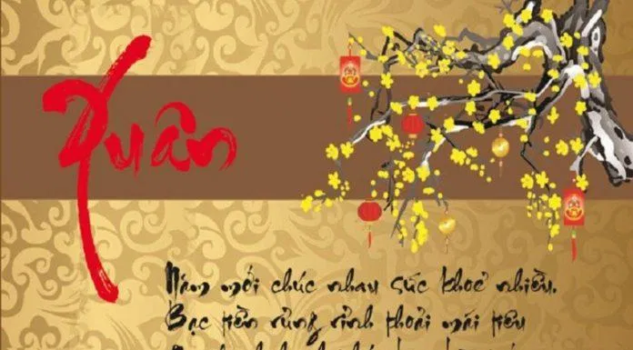 Lời chúc vừa vui nhộn vùa ý nghĩa được nhiều người dùng nhân dịp năm mới (ảnh: internet)