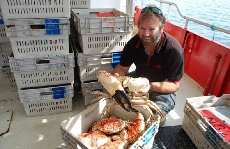 Các ngư dân Australia phải lặn sâu dưới lòng biển tăm tối đầy hiểm nguy để bắt được loài cua này (Ảnh: Internet). Các ngư dân Australia phải lặn sâu dưới lòng biển tăm tối đầy hiểm nguy để bắt được loài cua này (Ảnh: Internet).