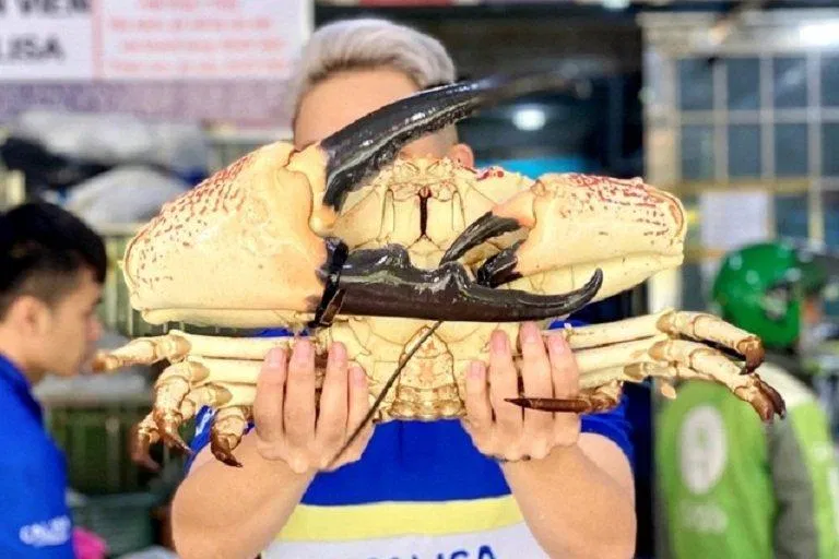 Tranh thủ đợt giảm giá, nhiều người đã đặt mua mặt hàng cao cấp này về ăn cho biết mùi (Ảnh: Internet). Tranh thủ đợt giảm giá, nhiều người đã đặt mua mặt hàng cao cấp này về ăn cho biết mùi (Ảnh: Internet).