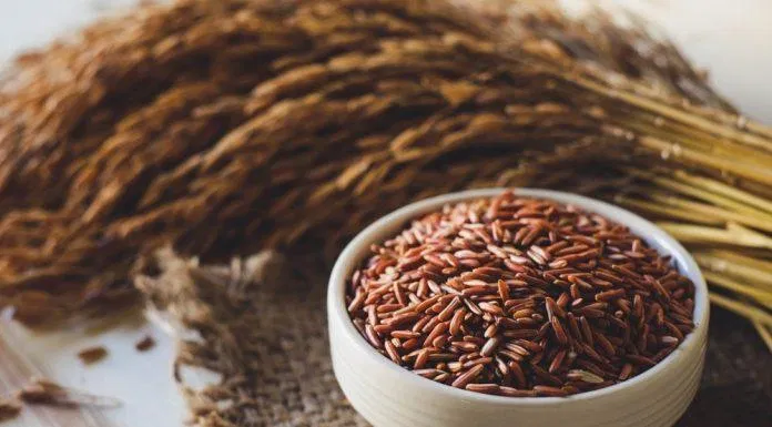 Gạo lứt chất lượng tốt mới đem lại hiệu quả giảm cân như mong muốn. (Nguồn: Internet) Gạo lứt chất lượng tốt mới đem lại hiệu quả giảm cân như mong muốn. (Nguồn: Internet)