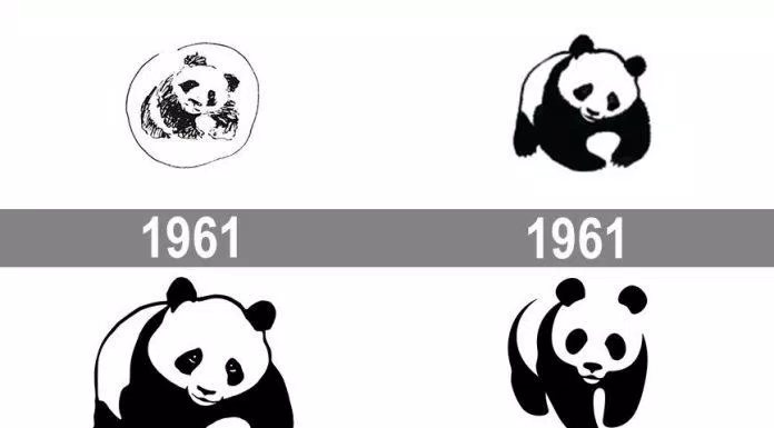 Logo gấu trúc của WWF thay đổi theo năm tháng (Ảnh: Internet)