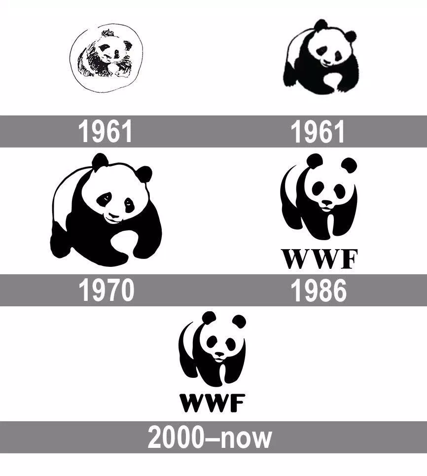 Logo gấu trúc của WWF thay đổi theo năm tháng (Ảnh: Internet)