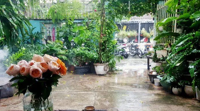 Góc Nhà Tụi Mình có không gian bình dị, hòa hợp với thiên nhiên (Nguồn: Internet)