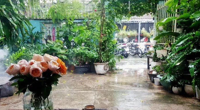Góc Nhà Tụi Mình có không gian bình dị, hòa hợp với thiên nhiên (Nguồn: Internet)