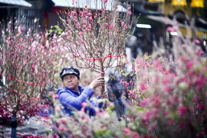 Chợ hoa- Nét văn hóa không thể thiếu mỗi dịp Tết đến xuân về. (Ảnh: internet)