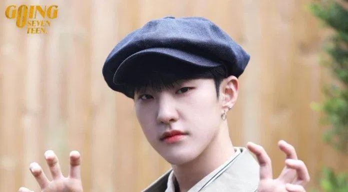 "Horanghaeee" - cách chào đặc biệt của Hoshi (Nguồn: internet)