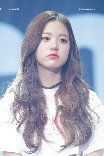 Jang Wonyoung (Ảnh: internet)