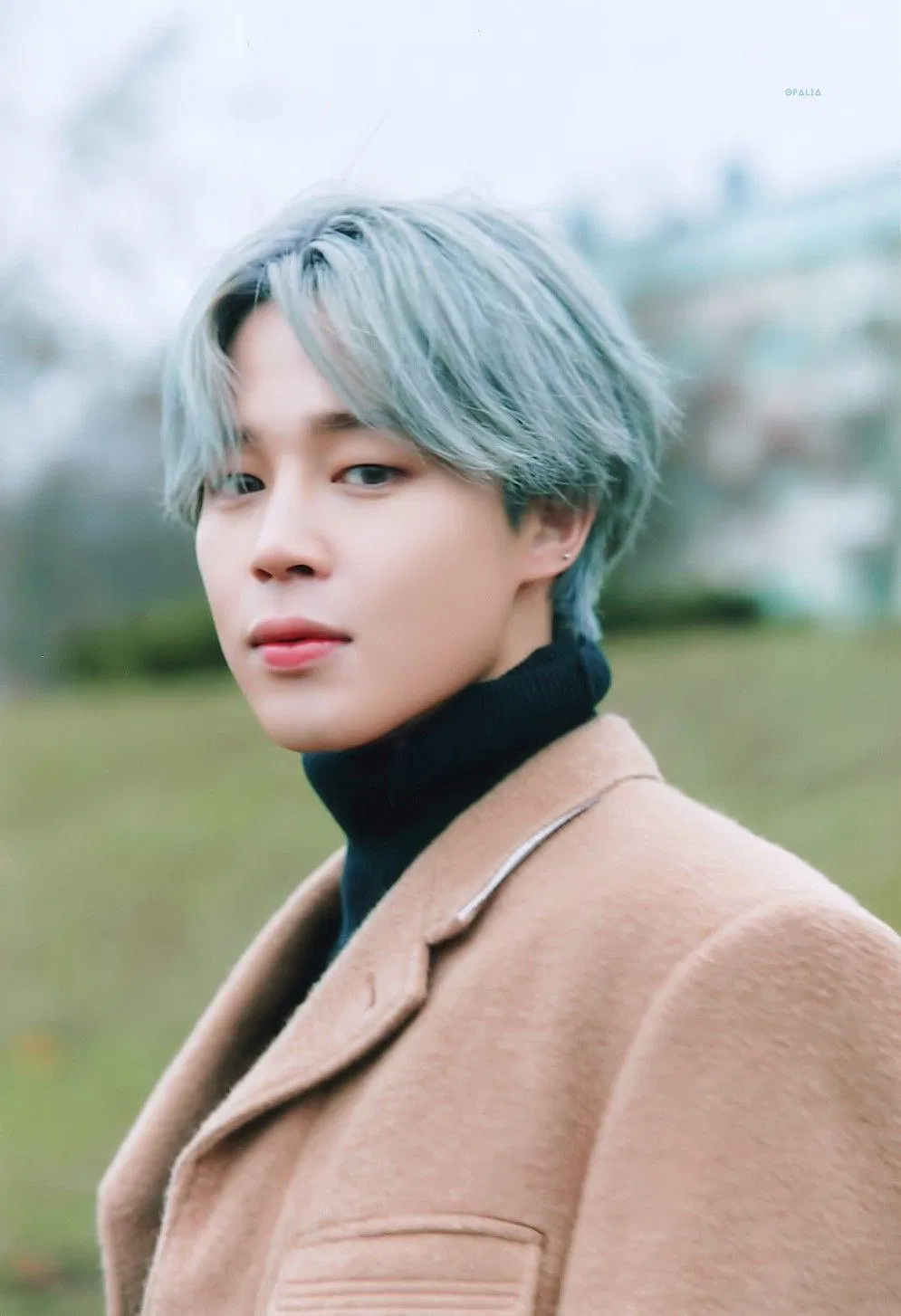 Jimin cũng là một cái tên có độ phủ sóng cực cao (Ảnh: Internet)