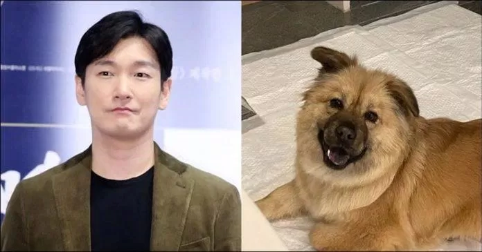 Jo Seung Woo nhận nuôi để giải cứu những chú chó bị bỏ rơi. (Nguồn: Internet)