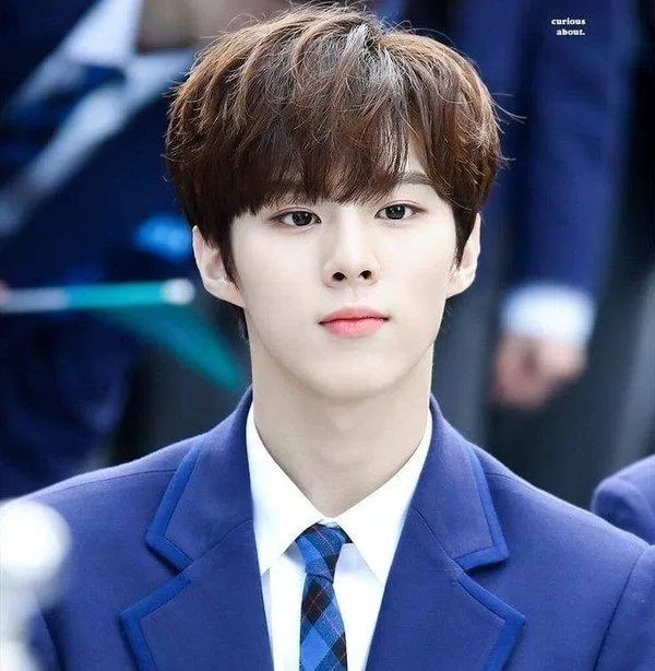 Kim Wooseok (nguồn: internet)