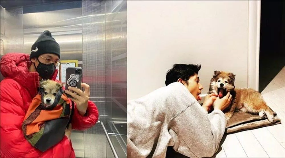 Lee Ki Woo nhận nuôi để giải cứu những chú chó bị bỏ rơi. (Nguồn: Internet)