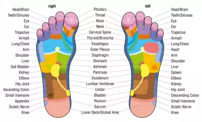 Bàn chân có liên hệ mật thiết với các cơ quan của cơ thể (Nguồn: Internet).