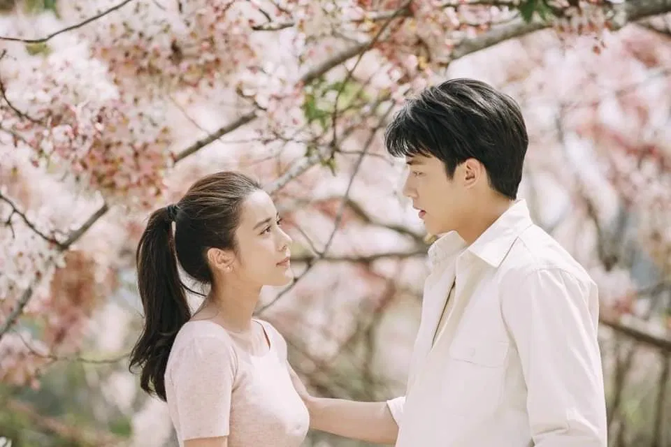 Thương nhau lắm cắn nhau đau chính là câu chuyện tình yêu về họ (ảnh: Internet)