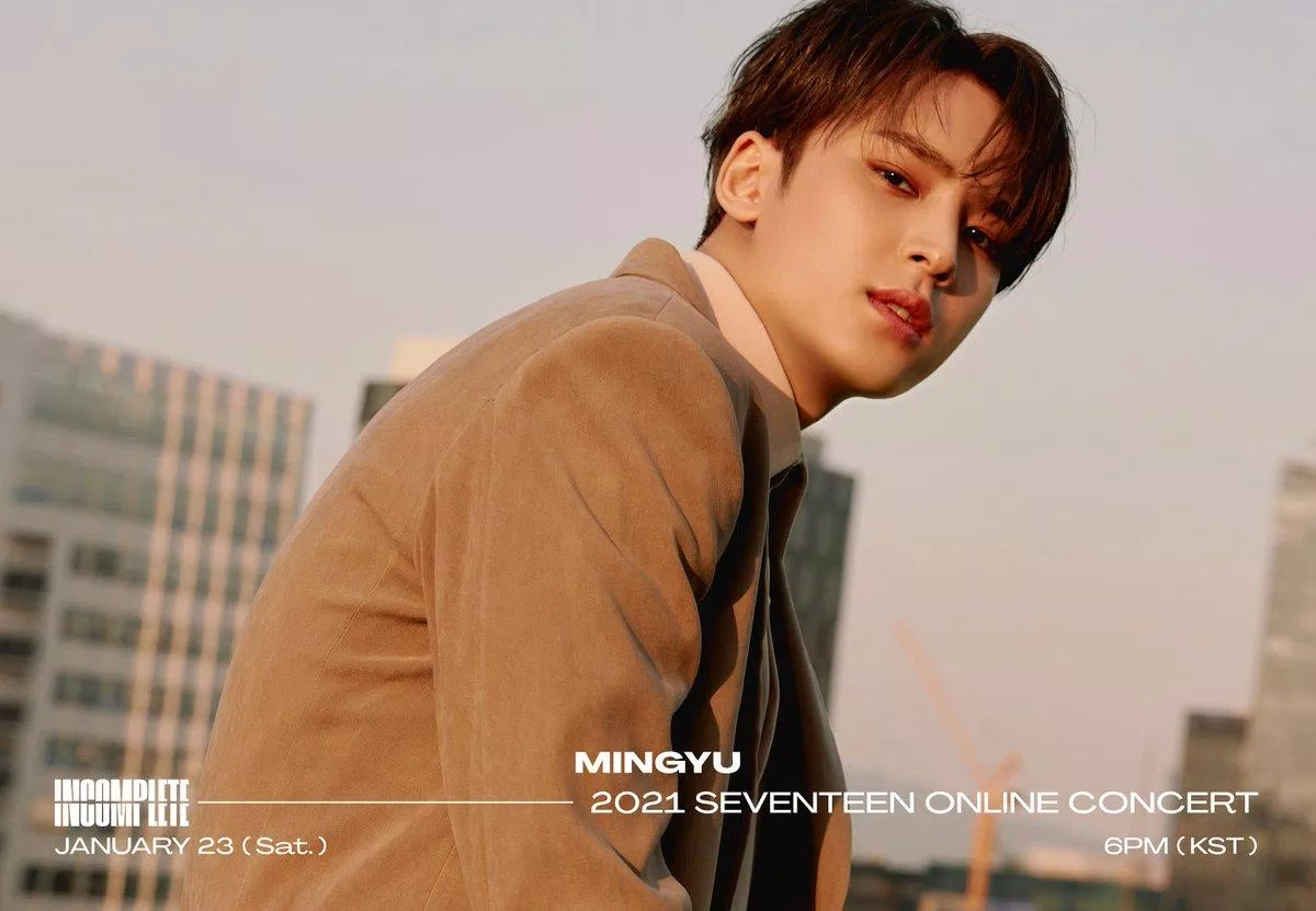 Thông tin Mingyu, Mingyu profile (Nguồn: internet)
