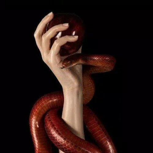 Mơ thấy rắn có thể cũng là tiếng nói của cơ thể.(Nguồn: Internet)