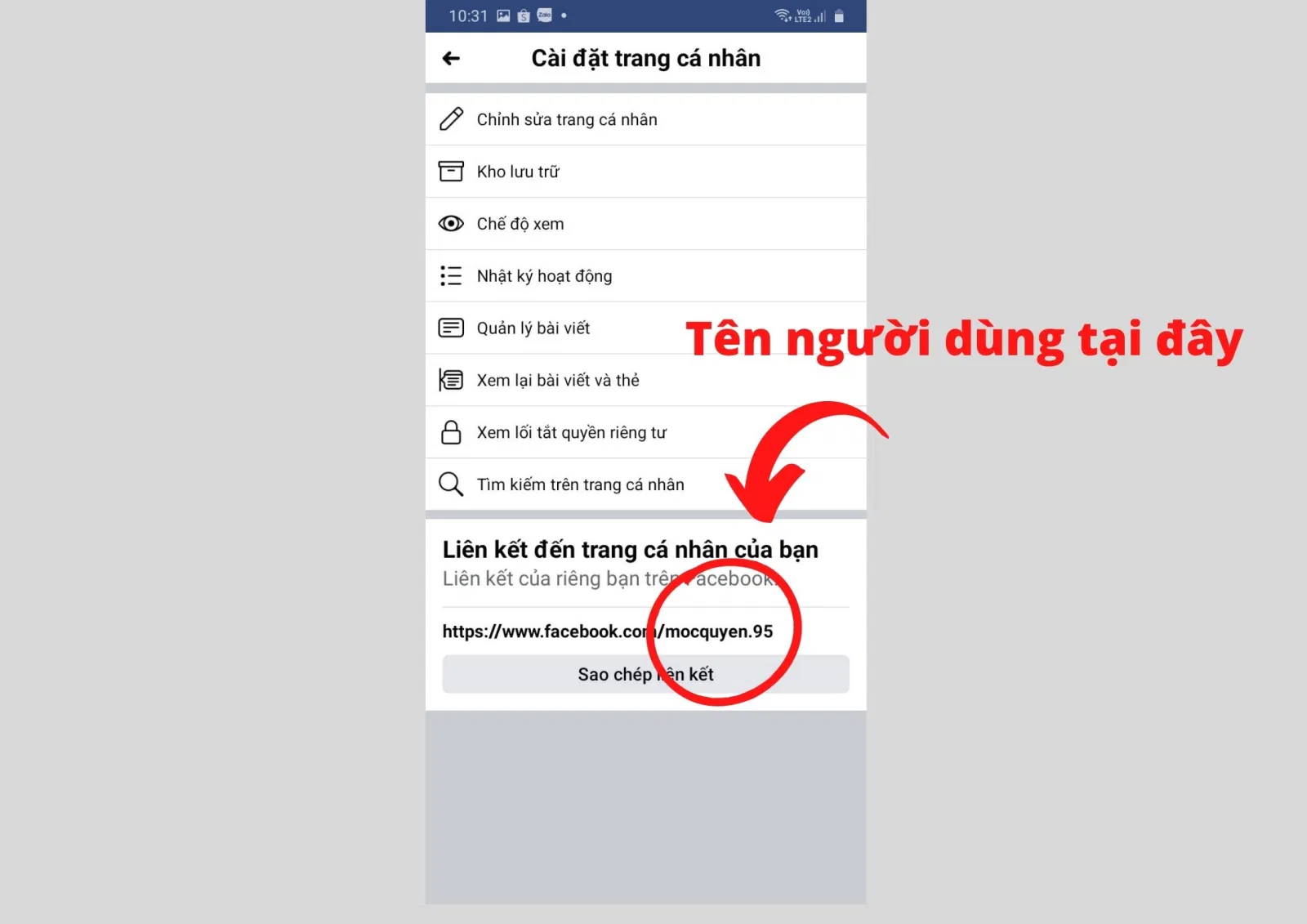 (Nguồn: BlogAnChoi)