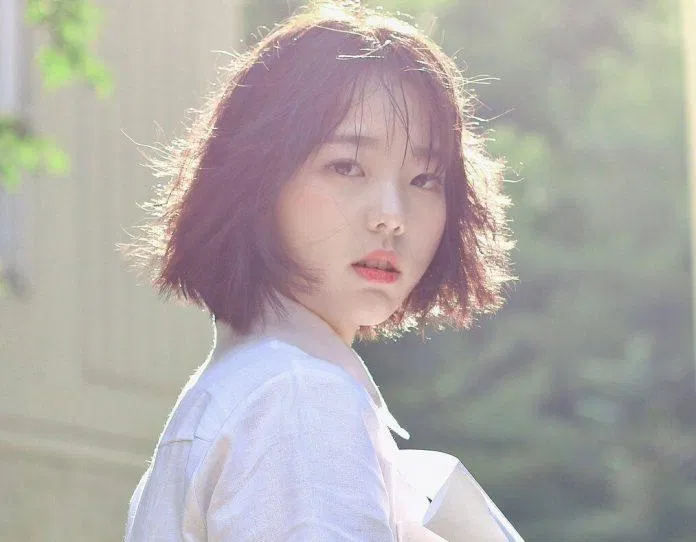 Chút má hồng sẽ giúp gương mặt thêm tươi tắn, tràng đày sức sông (ảnh: internet)