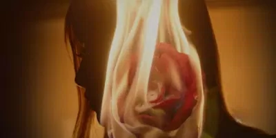 Hình ảnh bông hồng rực cháy trong Mv Teaser