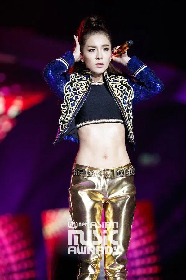 Sandara Park lớn lên ở nước ngoài. (Nguồn: Internet)