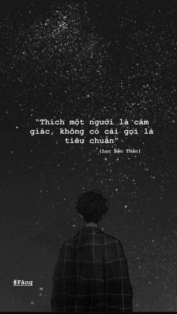 Thích một người là cảm giác, không có cái gọi là tiêu chuẩn (ảnh: internet)