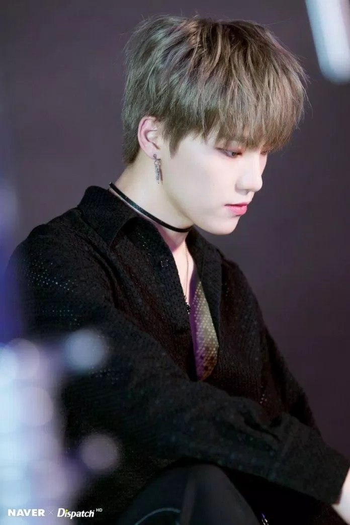 Các thành viên SEVENTEEN đã trở thành gà nhà Pledis như thế nào?  Dino DK Hoshi jeonghan Joshua Jun KPOP Mingyu nhóm nhạc nổi tiếng S.Coups Seungkwan Seventeen Seventeen SEVENTEEN ra mắt SEVENTEEN trở thành thực tập sinh Pledis The8 Vernon Wonwoo Woozi Ý nghĩa của cái tên SEVENTEEN