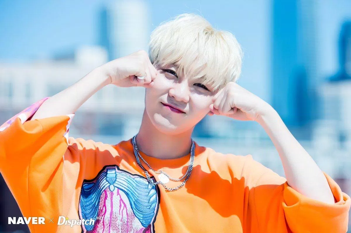 Thông tin cơ bản, Seungkwan profile (Nguồn: internet)