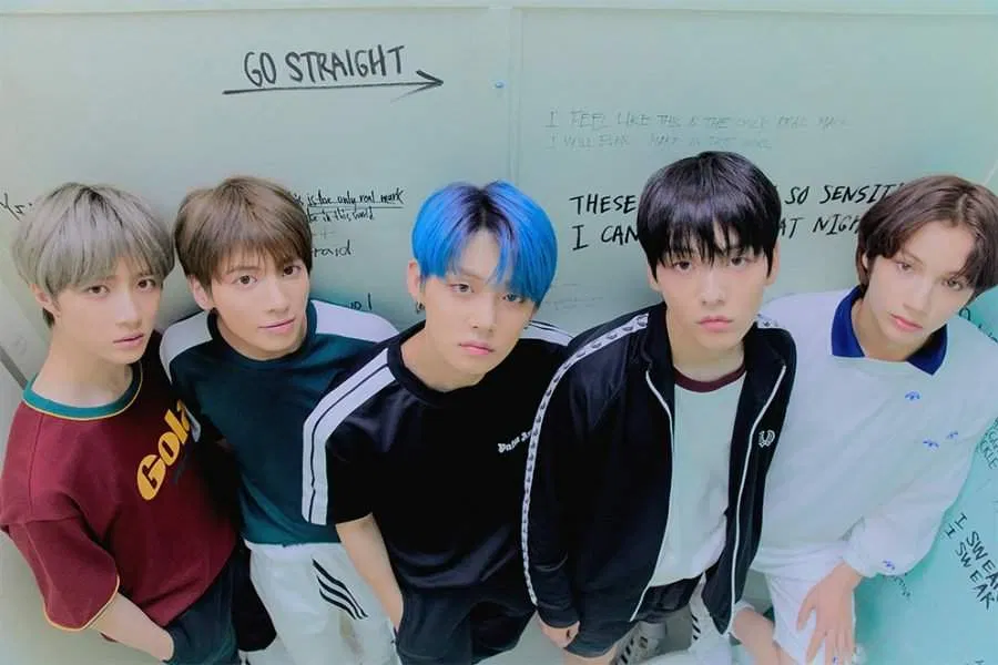 TXT (nguồn: internet)