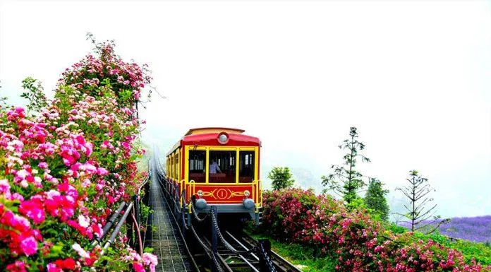 Có một chuyến tàu đi giữa những mùa hoa và khung cảnh hùng vỹ miền Tây Bắc. (Nguồn ảnh: Internet)