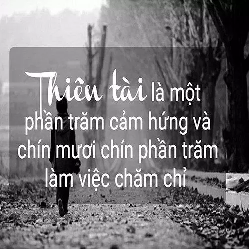 Tài năng là một phần trăm cảm hứng và chín mươi chín phần trăm làm việc chăm chỉ [Nguồn: BlogAnChoi],