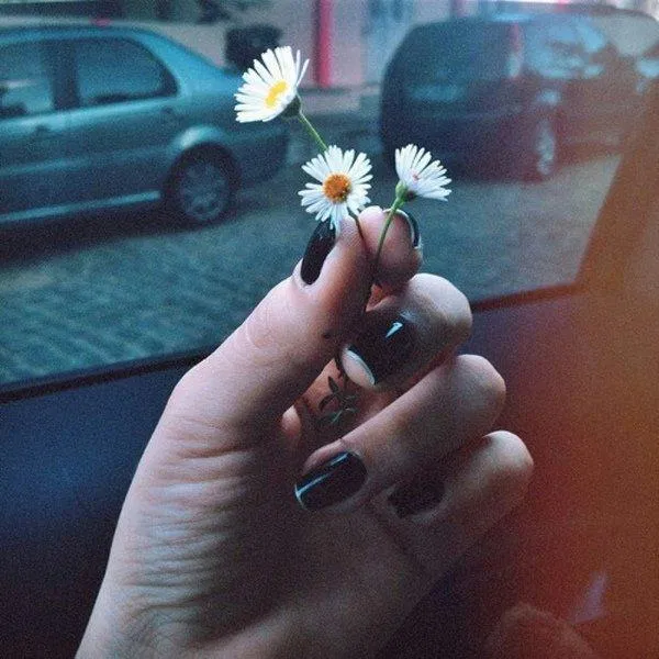 Mỗi loài hoa đều "sống" theo cách riêng của mình ( ảnh Internet) Mỗi loài hoa đều "sống" theo cách riêng của mình ( ảnh Internet)