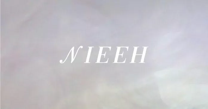Nieeh là thương hiệu thời trang mới nổi tại Hàn Quốc được thành lâp vào đầu năm 2020. (Ảnh: Internet)
