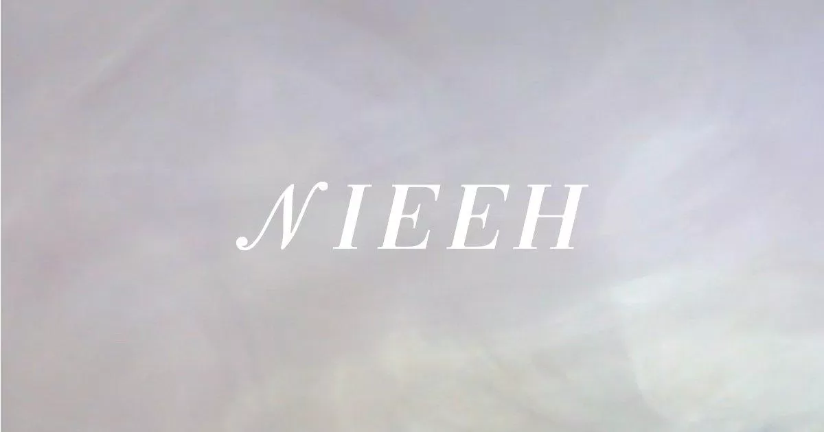 Nieeh là thương hiệu thời trang mới nổi tại Hàn Quốc được thành lâp vào đầu năm 2020. (Ảnh: Internet)