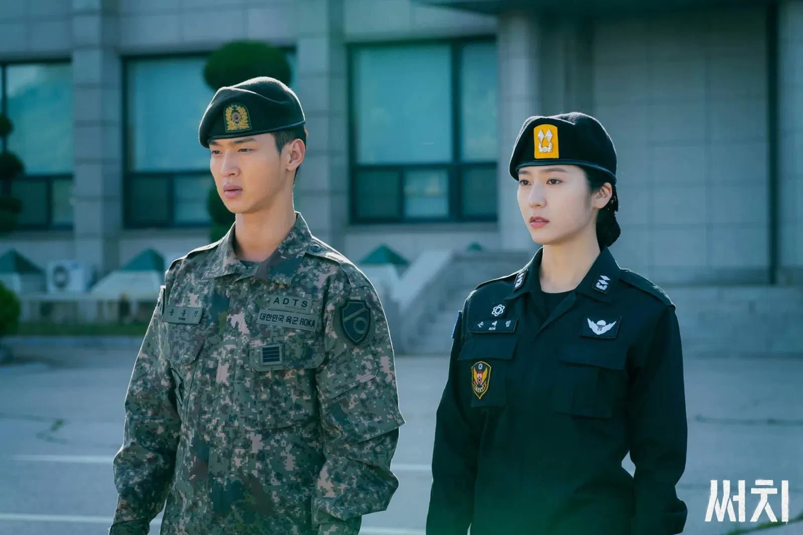 Họ hợp tác cùng nhau thực hiện nhiệm vụ (ảnh: Internet)