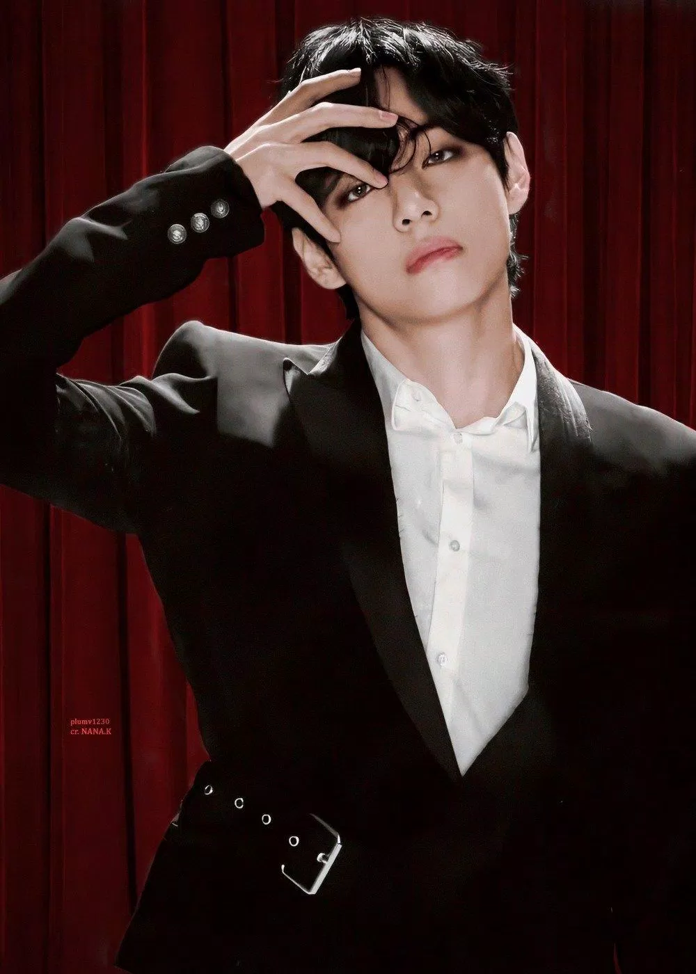V (BTS). (Nguồn: Internet)