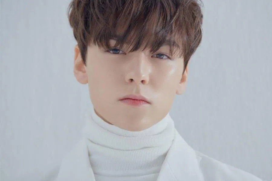 Vernon (SEVENTEEN) đã vượt qua rất nhiều thử thách để trở nên nổi tiếng. (Nguồn: Internet)