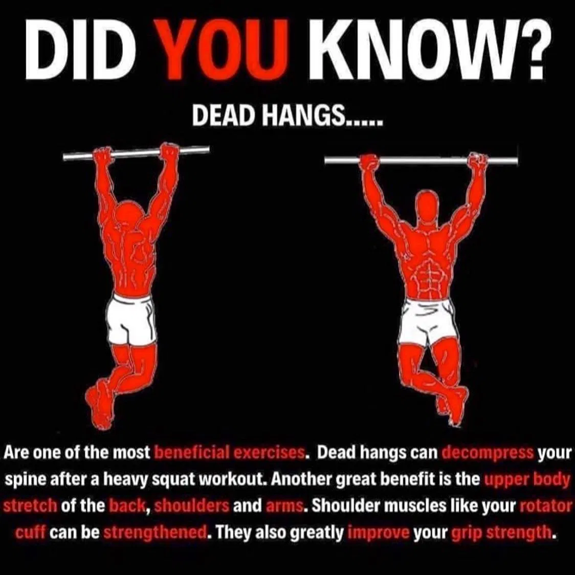 Dead hang có rất nhiều lợi ích đối với cơ xương khớp (Ảnh: Internet). Dead hang có rất nhiều lợi ích đối với cơ xương khớp (Ảnh: Internet).