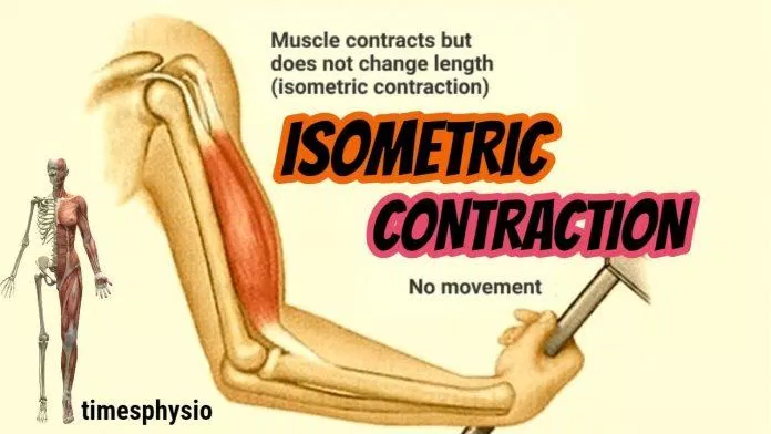 Trong các động tác isometric, cơ bắp vẫn co nhưng không thay đổi độ dài sợi cơ (Ảnh: Internet). Trong các động tác isometric, cơ bắp vẫn co nhưng không thay đổi độ dài sợi cơ (Ảnh: Internet).