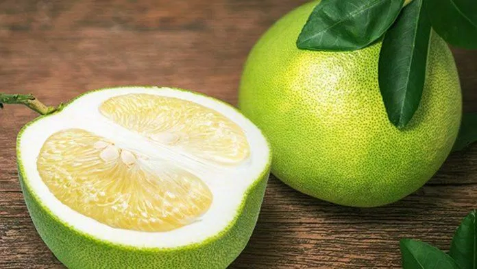 Bưởi chứa rất nhiều vitamin. (Nguồn: Internet) Bưởi chứa rất nhiều vitamin. (Nguồn: Internet)