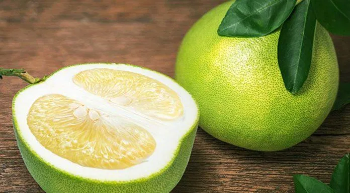 Bưởi là nguồn bổ sung lượng Vitamin C tuyệt vời cho cơ thể. (Nguồn: Internet) Bưởi là nguồn bổ sung lượng Vitamin C tuyệt vời cho cơ thể. (Nguồn: Internet)