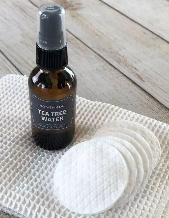 Cách làm tea tree oil toner trị mụn tại nhà. (nguồn: internet)