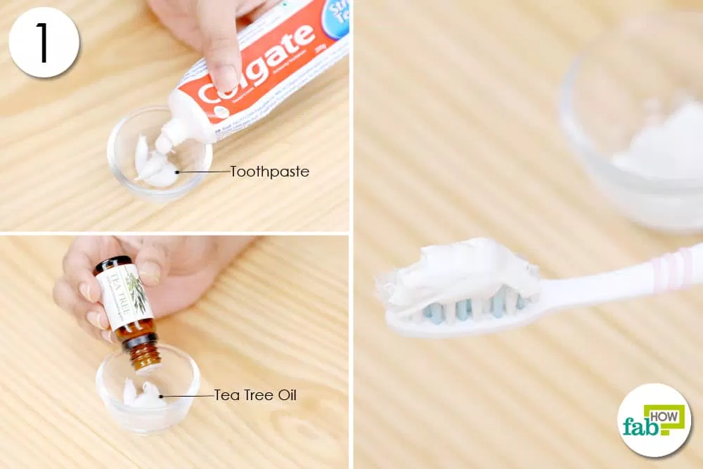 Trộn kem đánh răng với tea tree oil. (nguồn: internet)