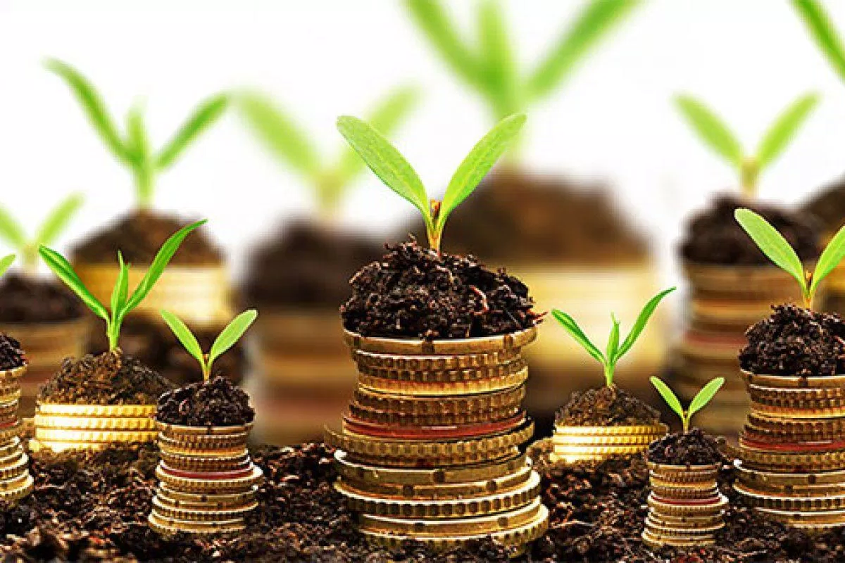 Ai chẳng muốn túi luôn đầy tiền, nhưng phải làm gì để được như vậy? (Ảnh: Internet). Ai chẳng muốn túi luôn đầy tiền, nhưng phải làm gì để được như vậy? (Ảnh: Internet).