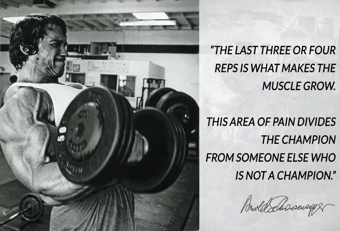 Ba hay bốn rep cuối cùng là thứ giúp cơ bắp phát triển. Sự đau đớn đó phân biệt nhà vô địch với những người không phải nhà vô địch. Ba hay bốn rep cuối cùng là thứ giúp cơ bắp phát triển. Sự đau đớn đó phân biệt nhà vô địch với những người không phải nhà vô địch. (Ảnh: Internet)