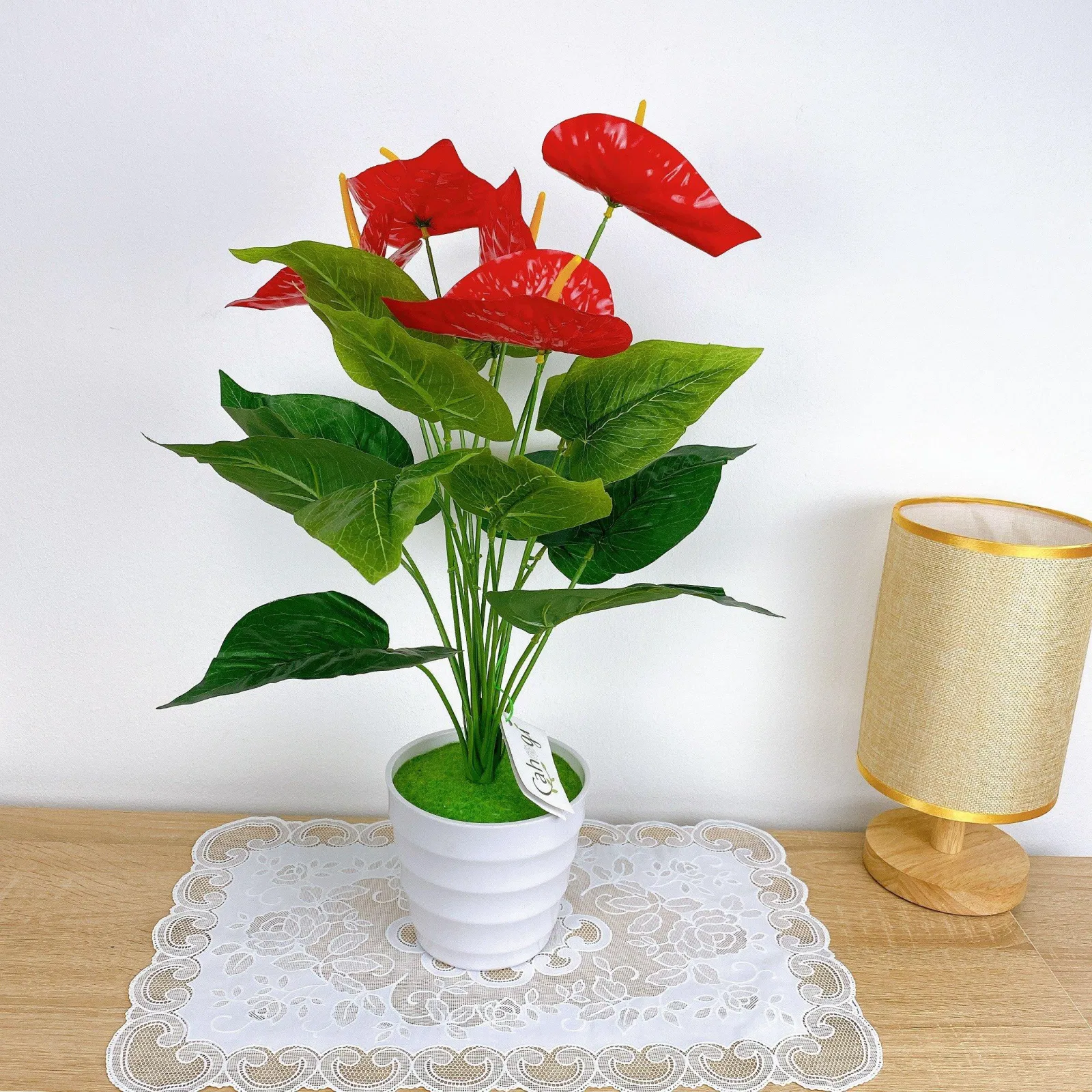 Cây hồng môn. (Ảnh: Internet)