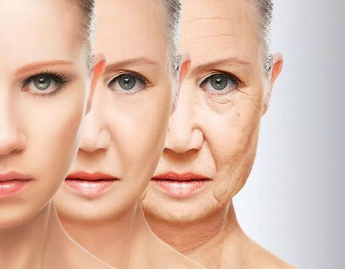 Ceramides giúp ngăn chặn quá trình lão hóa. (Nguồn: Internet).
